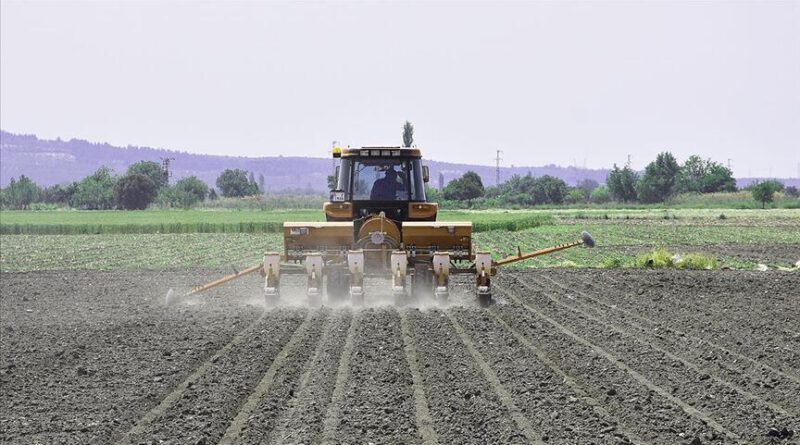 Pakdemirli duyurdu: Çiftçilere destek ödemeleri bugün başlıyor