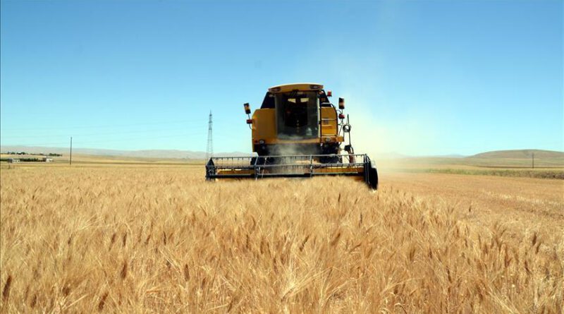 TÜİK'ten korkutan tahmin: Buğdaydan nohuta pek çok ürün risk altında